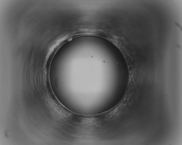 X0000103450342200809191753
