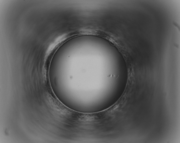 X0000103450343200809191753