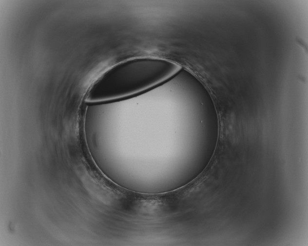 X0000103450344200809191753