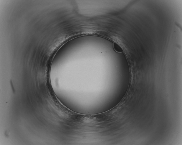 X0000103450346200809191753