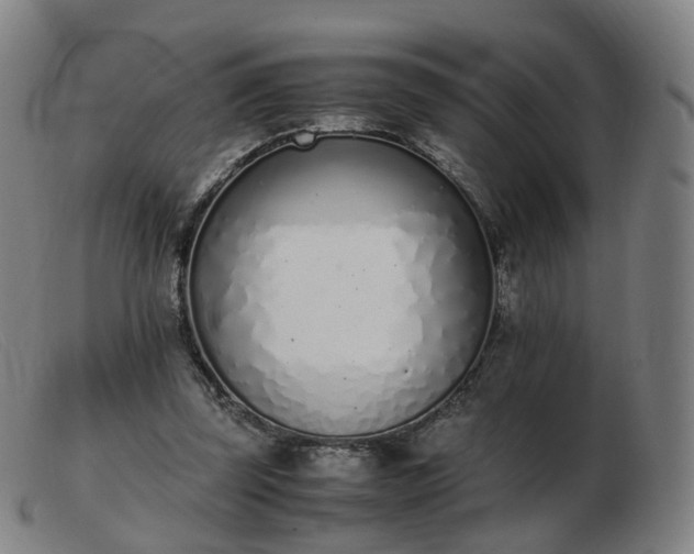 X0000103450347200809191753