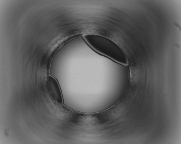 X0000103450348200809191753