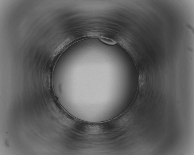 X0000103450349200809191753
