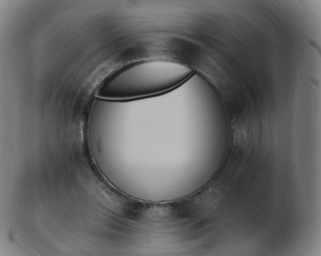 X0000103450350200809191753
