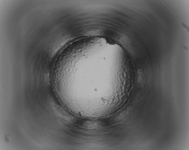 X0000103450351200809191753