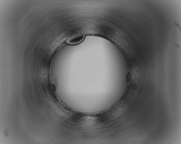 X0000103450352200809191753