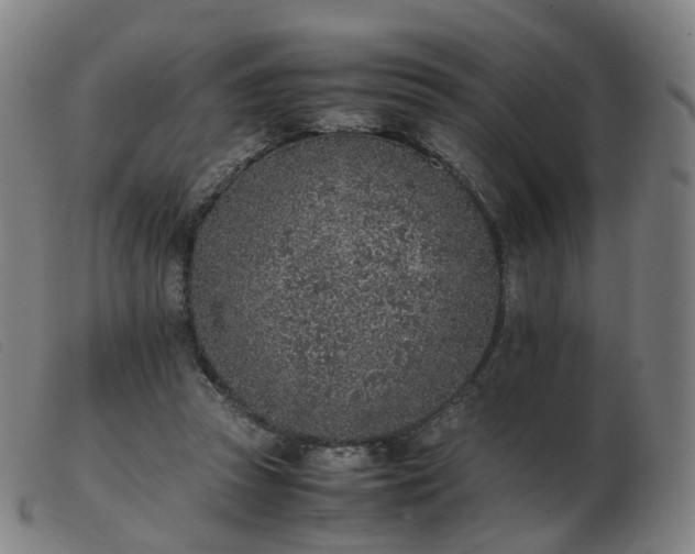 X0000103450353200809191753