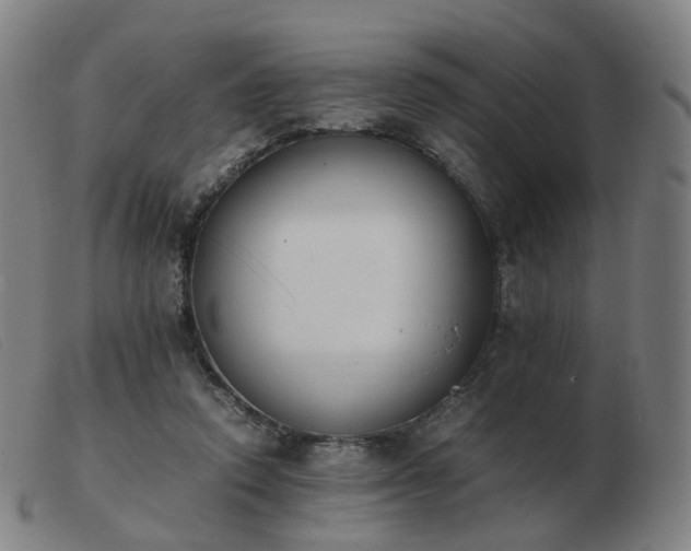 X0000103450354200809191753