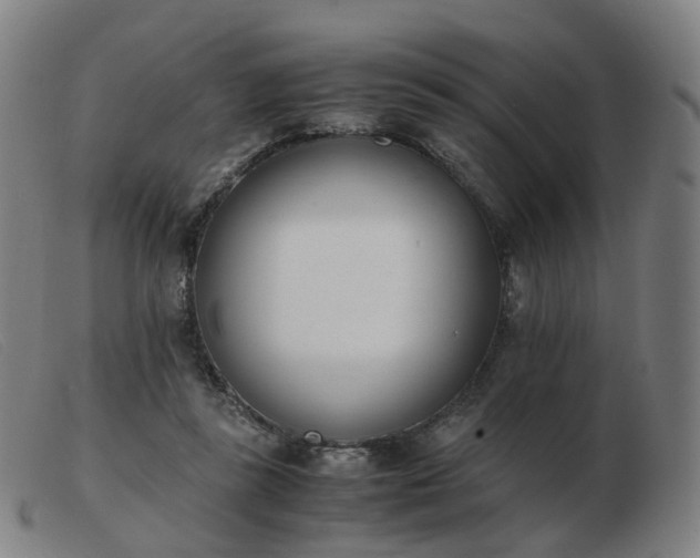 X0000103450355200809191753