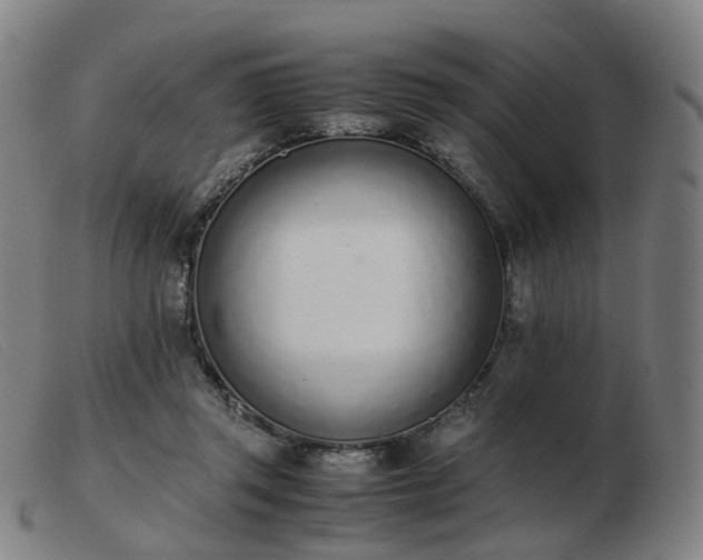 X0000103450357200809191754