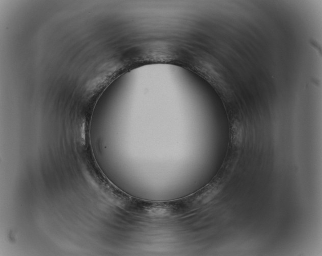 X0000103450358200809191754