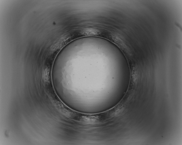 X0000103450359200809191754