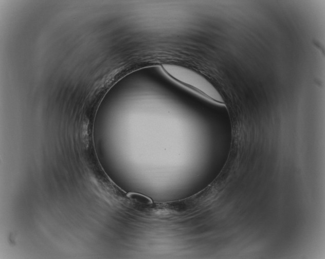 X0000103450360200809191754