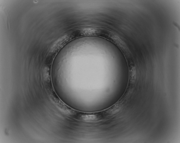 X0000103450361200809191754