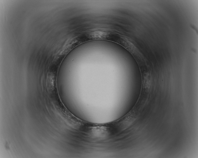 X0000103450363200809191754