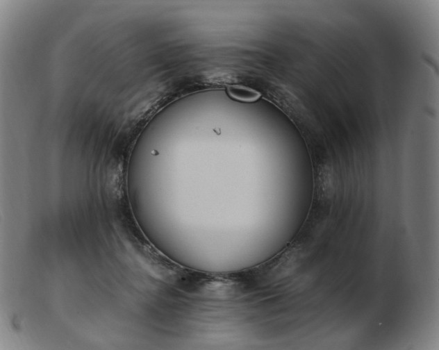 X0000103450364200809191754