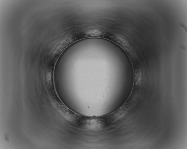 X0000103450365200809191754