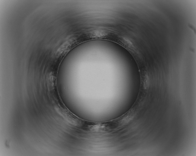 X0000103450366200809191754