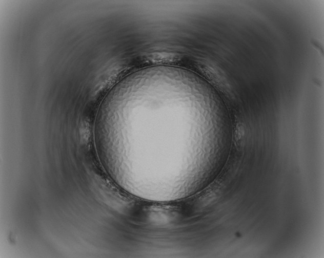 X0000103450367200809191754