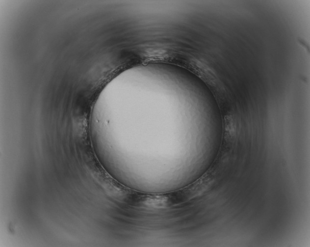 X0000103450369200809191754