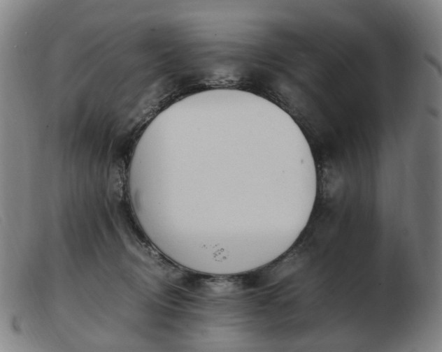 X0000103450370200809191754