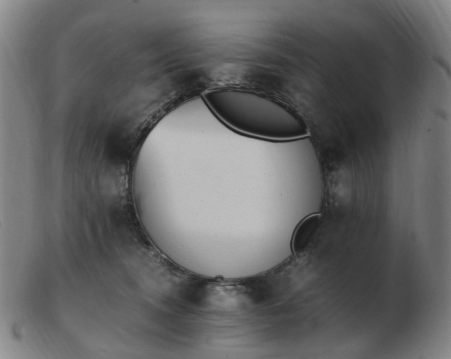 X0000103450372200809191754