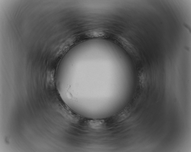 X0000103450373200809191754