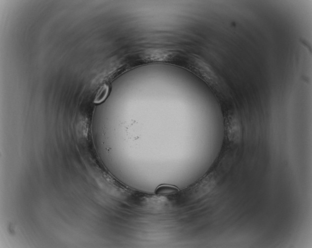 X0000103450374200809191754