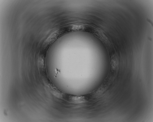 X0000103450375200809191754