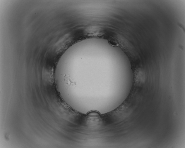 X0000103450376200809191754