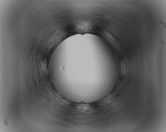 X0000103450377200809191754