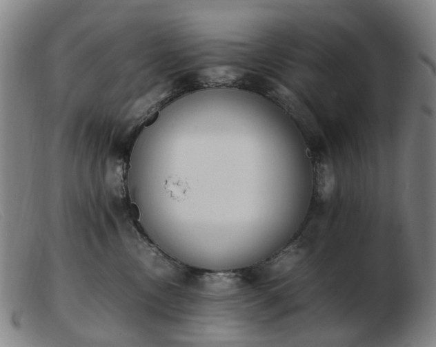 X0000103450378200809191754