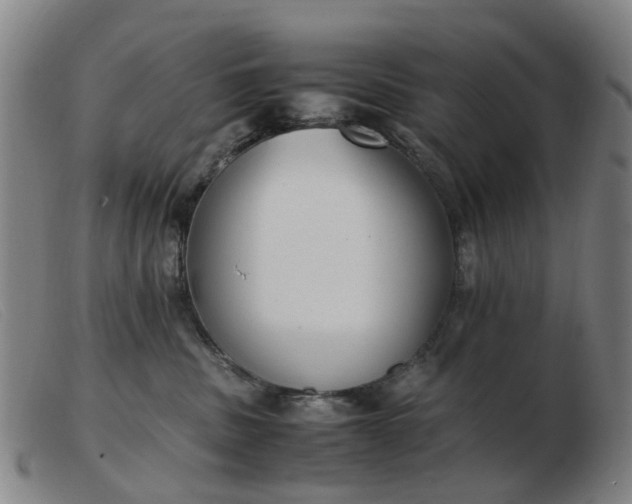 X0000103450379200809191754