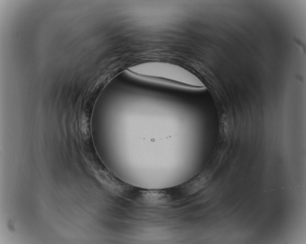 X0000103450380200809191754