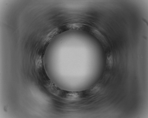X0000103450381200809191754