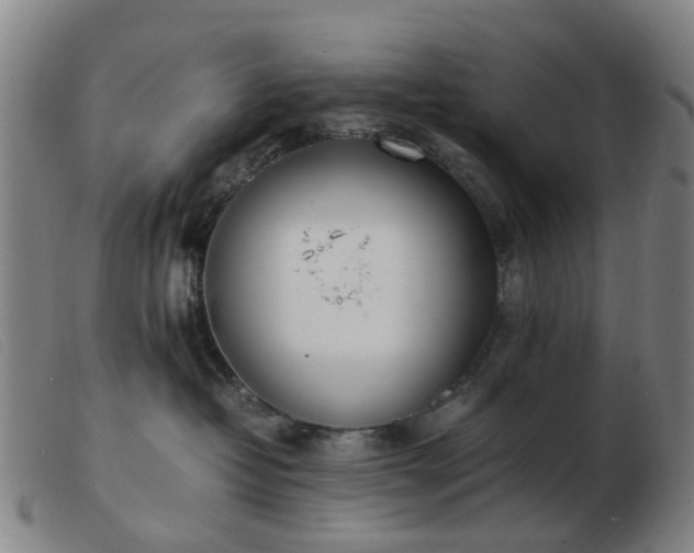 X0000103450382200809191754