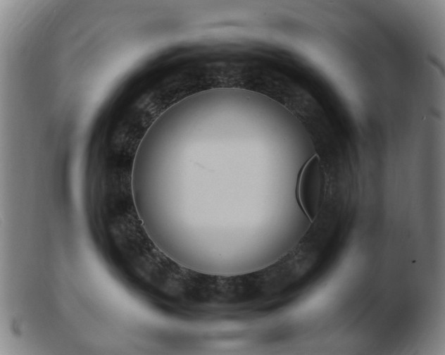 X0000103450383200809191754