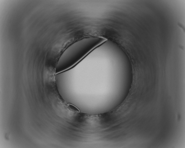 X0000103450384200809191754