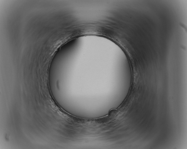X0000103450385200809191753
