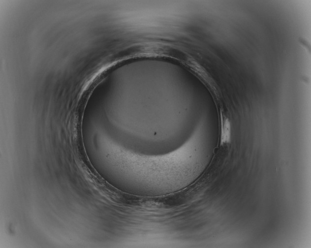 X0000103450387200809191753