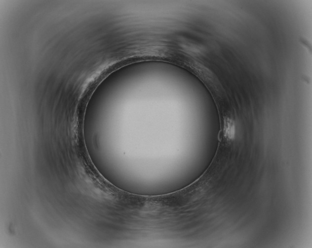 X0000103450388200809191753