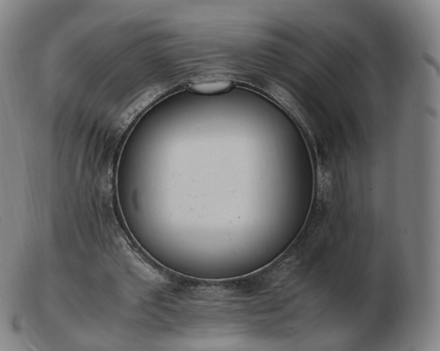 X0000103450389200809191753