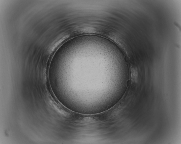 X0000103450390200809191753