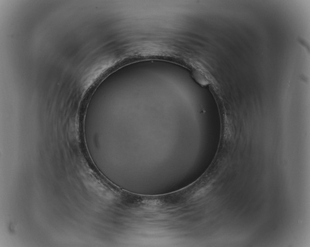 X0000103450391200809191753