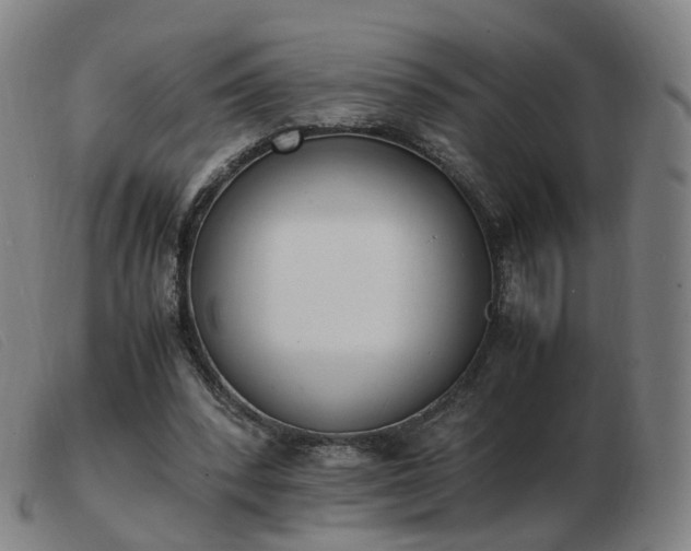 X0000103450392200809191753