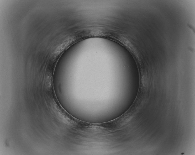 X0000103450393200809191753