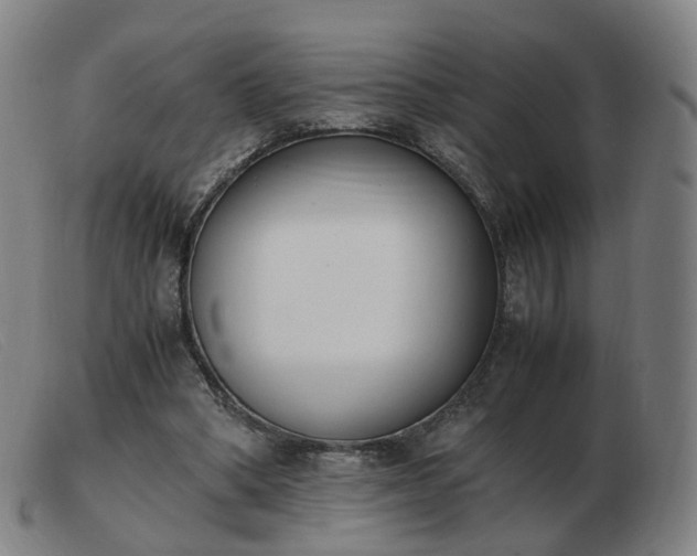 X0000103450394200809191753