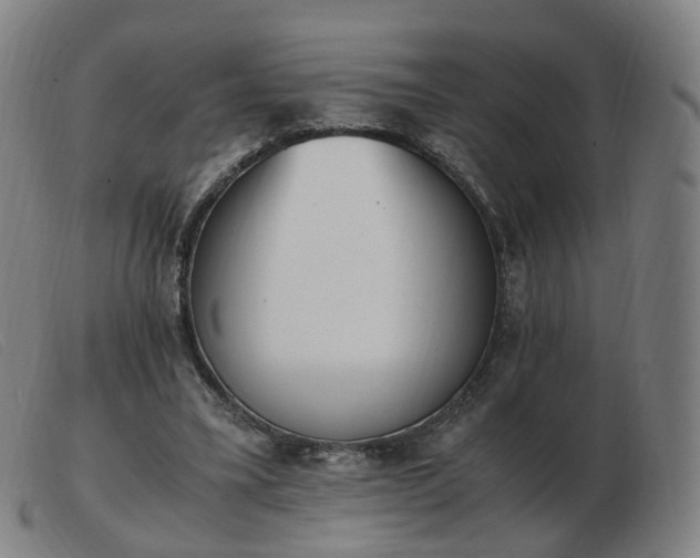 X0000103450395200809191753