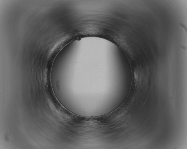 X0000103450396200809191753