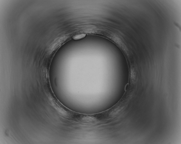 X0000103450397200809191753